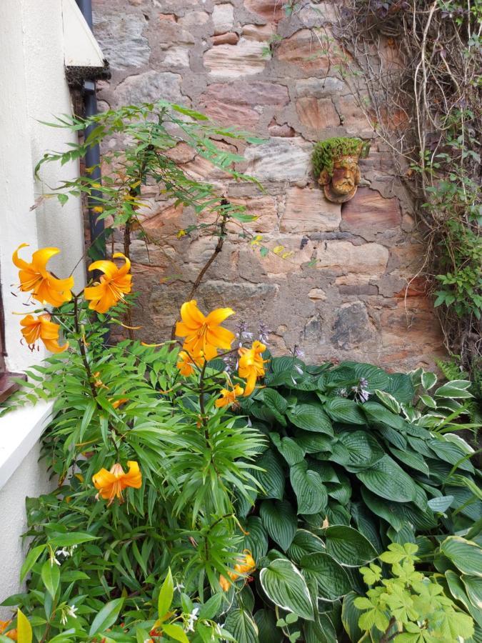 Oil Mill Lane Holiday Cottage Berwick Upon Tweed Esterno foto